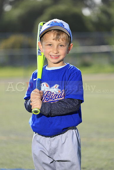 SB_TB_IronBirds004