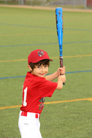 SB_TB_Ironpigs00008