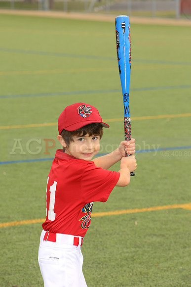 SB_TB_Ironpigs00008