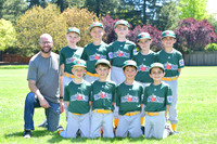 A TINCAPS