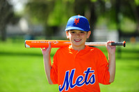 AA METS006