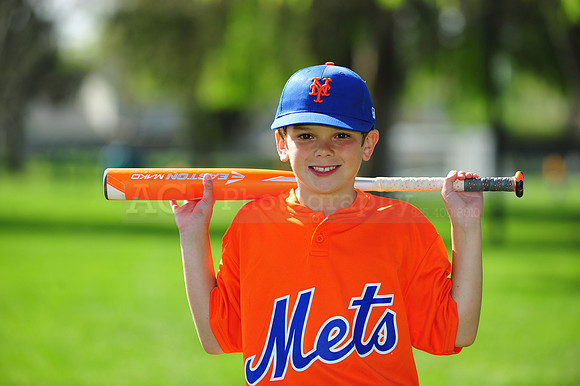 AA METS006