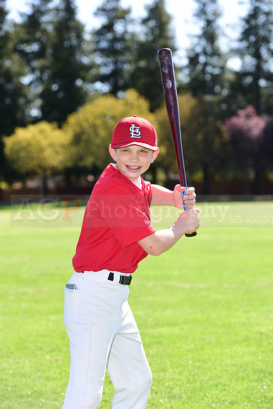 MCardinals0048