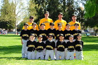 AA PIRATES