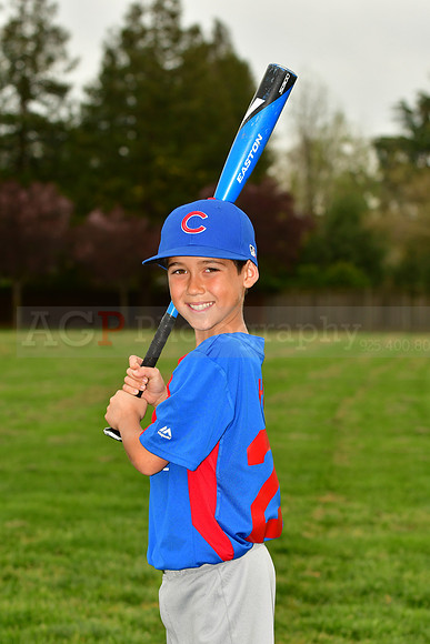 AAACubs048