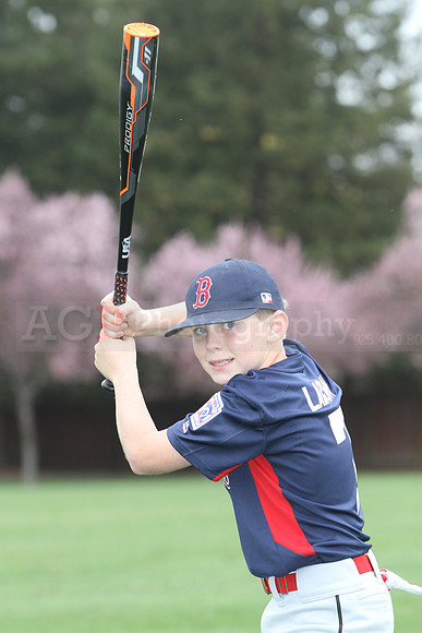 AAARedsox067