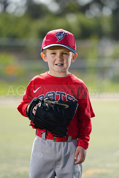 SB_TBALL_BATS128