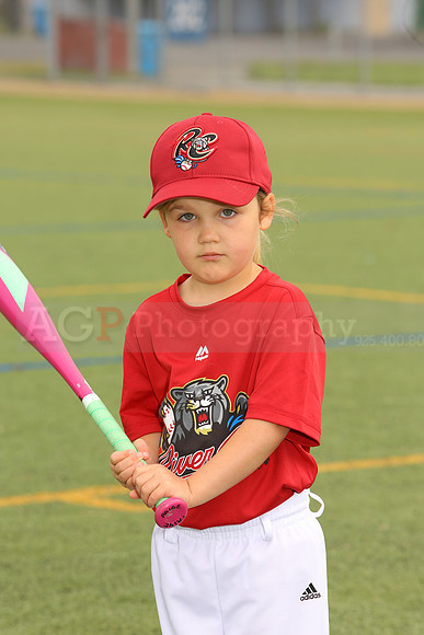 SB_TB_Ironpigs00072