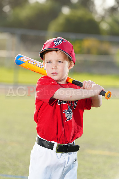 SB_TB_Bats079