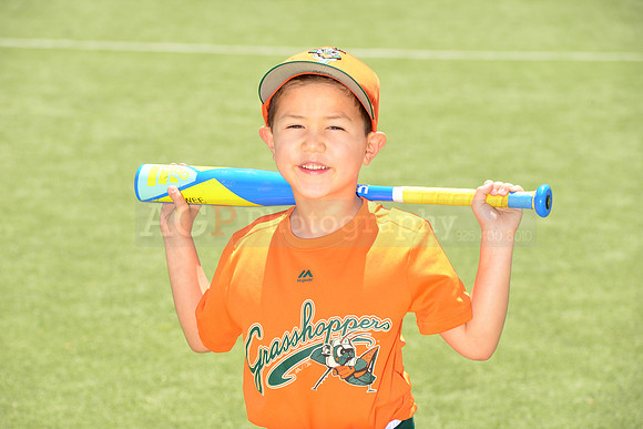 SB_TB_Grasshoppers00049