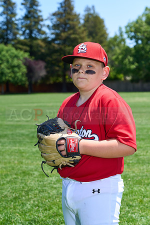 PLL_M_Cardinals00067