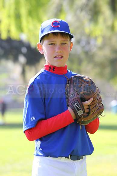 AAACubs017