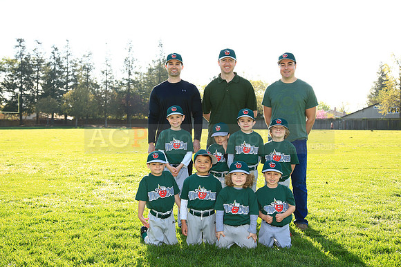 TBTinCaps059