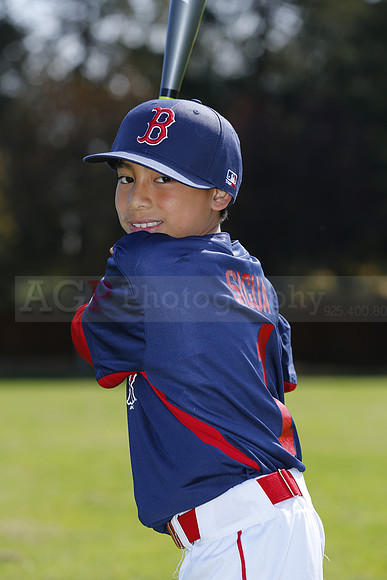 AAARedSox019