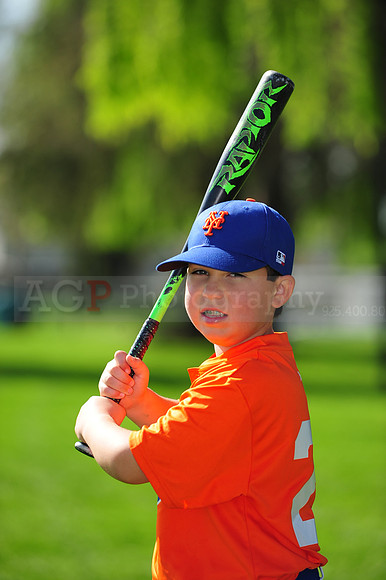 AA METS021