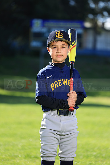 Jr_PW_Brewers032