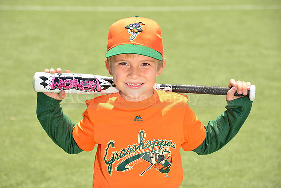 SB_TB_Grasshoppers00006