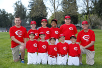 A REDS
