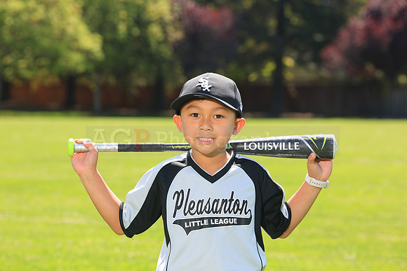 PLL_A_Whitesox00005
