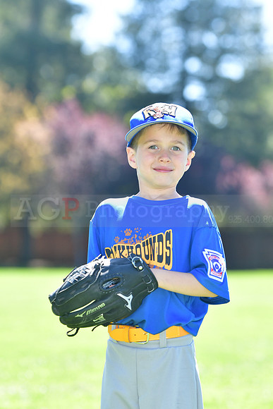 FMRockhounds020