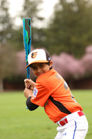 AAAOrioles010