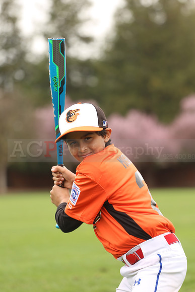 AAAOrioles010