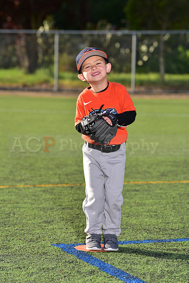 T-Ball_HotRods0024