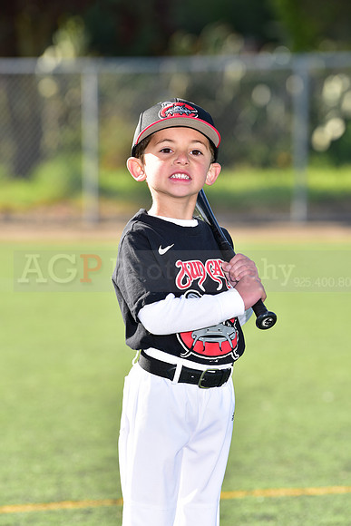 T-Ball_Mudcats0019