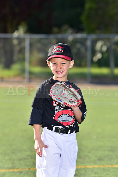 T-Ball_Mudcats0045