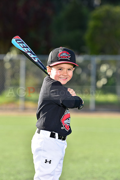 T-Ball_Mudcats0001