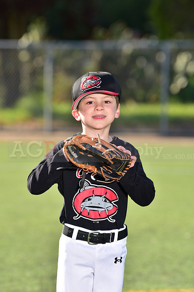 T-Ball_Mudcats0051