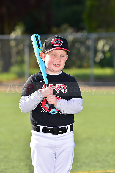 T-Ball_Mudcats0059