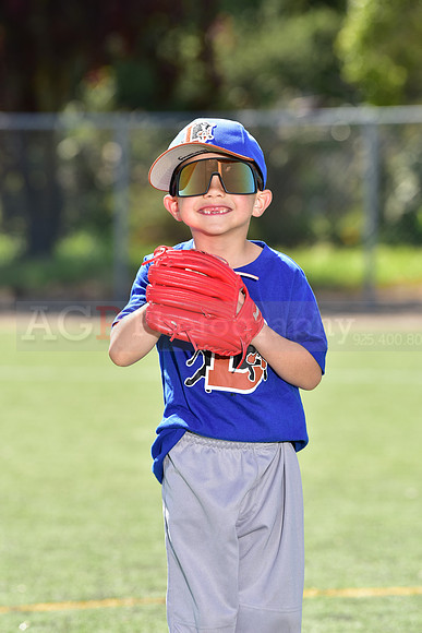T-Ball_Bulls0003