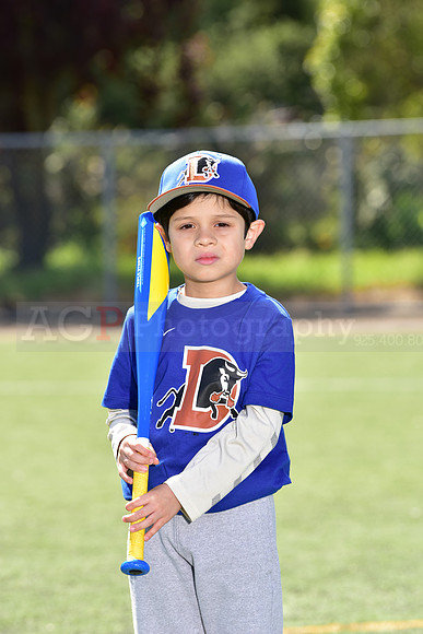 T-Ball_Bulls0016