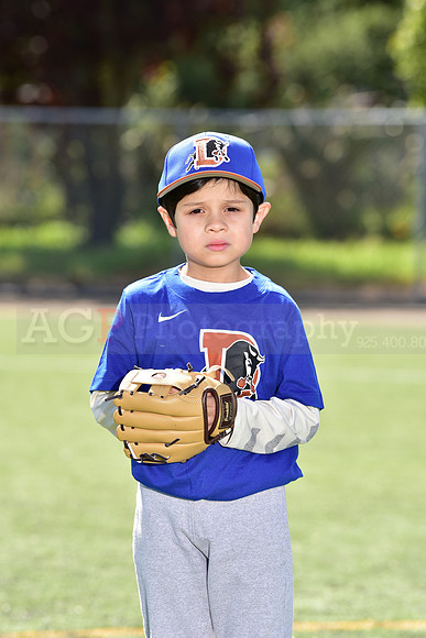 T-Ball_Bulls0015