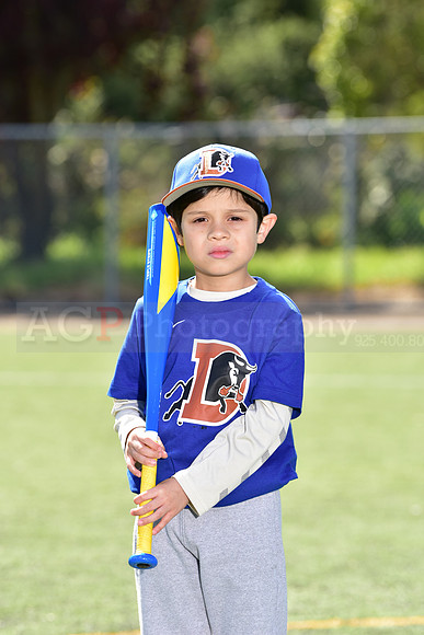 T-Ball_Bulls0017