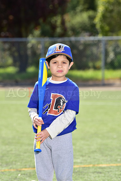 T-Ball_Bulls0018