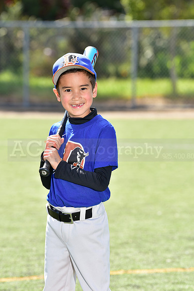 T-Ball_Bulls0023