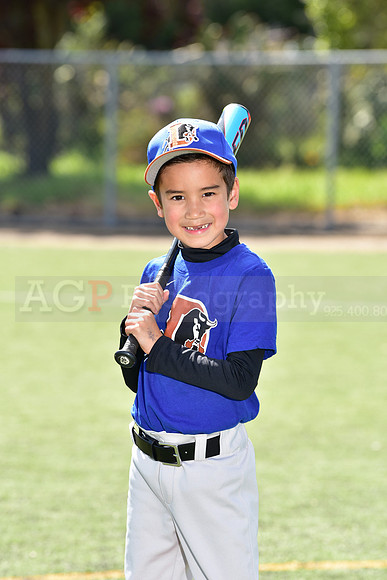 T-Ball_Bulls0024