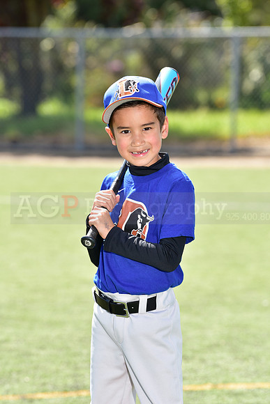 T-Ball_Bulls0025