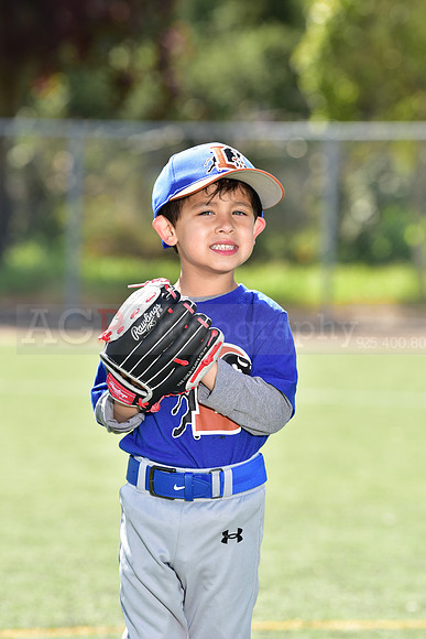 T-Ball_Bulls0027