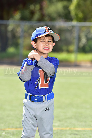 T-Ball_Bulls0030