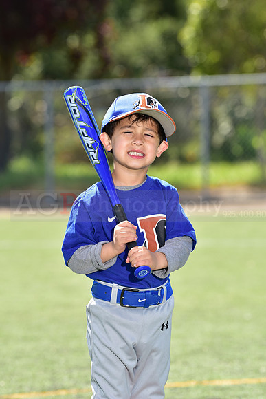T-Ball_Bulls0031