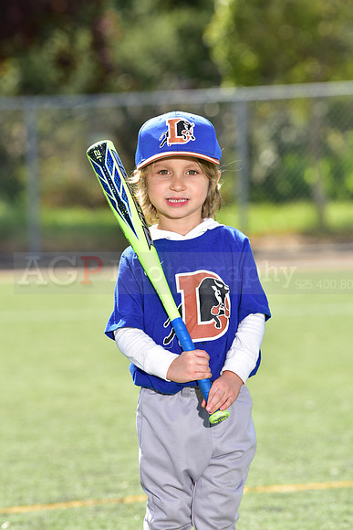 T-Ball_Bulls0037