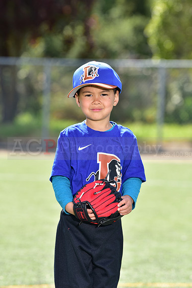 T-Ball_Bulls0039