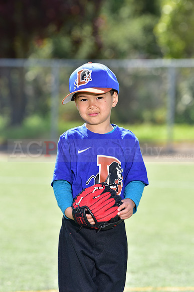 T-Ball_Bulls0040