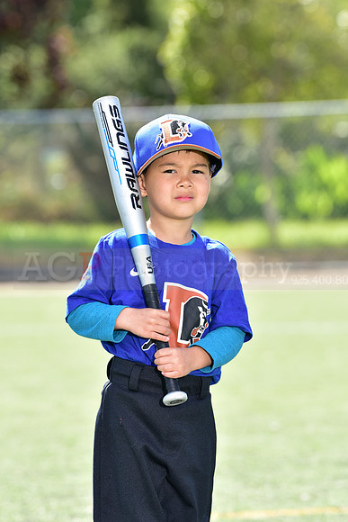 T-Ball_Bulls0045