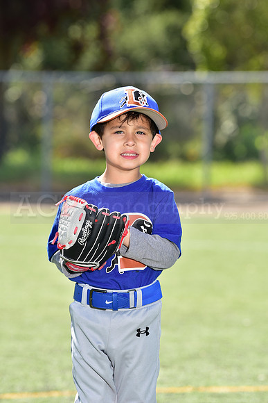 T-Ball_Bulls0028