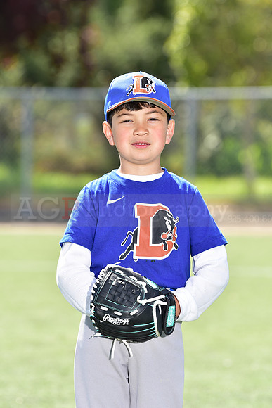 T-Ball_Bulls0049