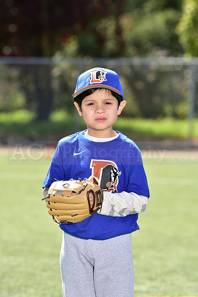 T-Ball_Bulls0013